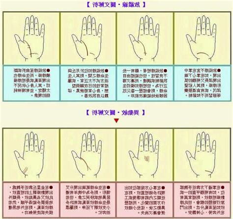 手指紋路 手相
